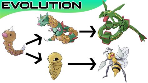 tropius evolution|Tropius Location, Learnset, and Evolution .
